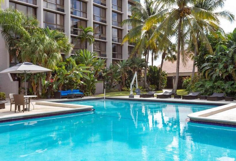 带大床的标准间, 88 Palms Hotel & Event Center