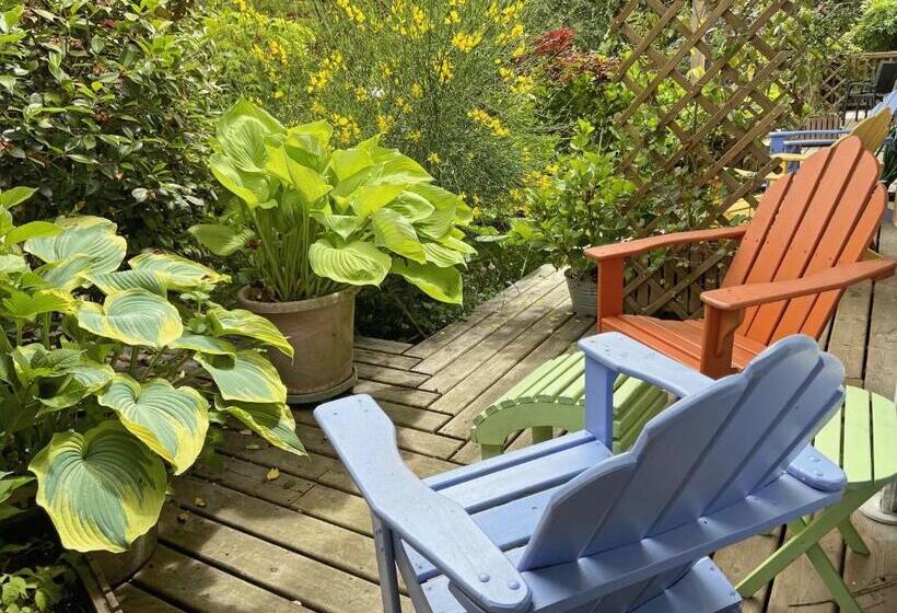 Номер Стандарт, Wisteria Guest House
