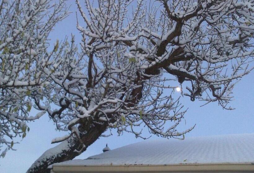 חדר סטודיו סטנדרד, Almond Court Motel