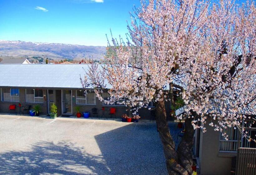 Студия Стандарт, Almond Court Motel