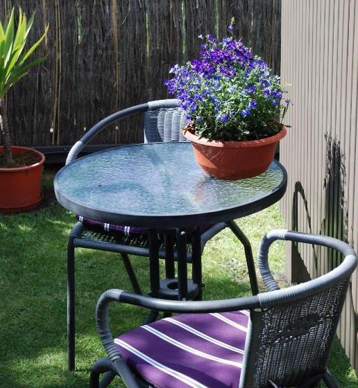 חדר סטודיו סטנדרד, Almond Court Motel