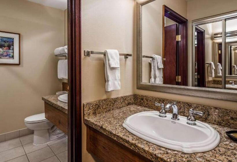 带大床的标准间, Best Western Plus Gold Country Inn