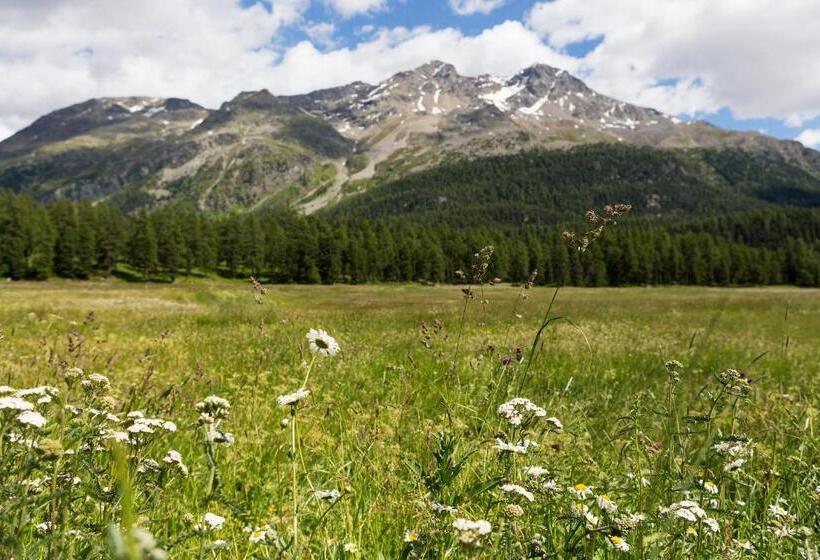 اتاق استاندارد, Europa Suites St Moritz