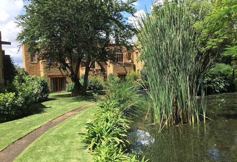 キングサイズベッドのデラックスルーム, Mision Del Sol Resort & Spa Adults Only