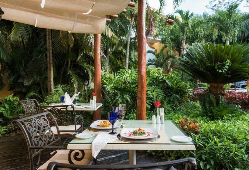 Quarto Real, Occidental Cozumel   All Inclusive