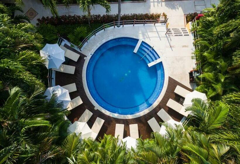 اتاق رویال, Occidental Cozumel   All Inclusive