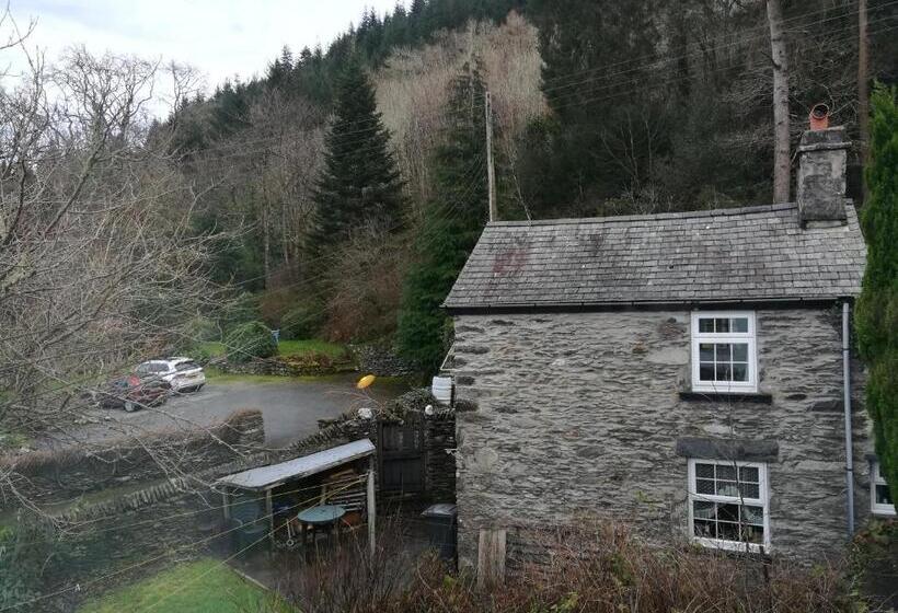 スーペリアールーム, Aberconwy House B&b