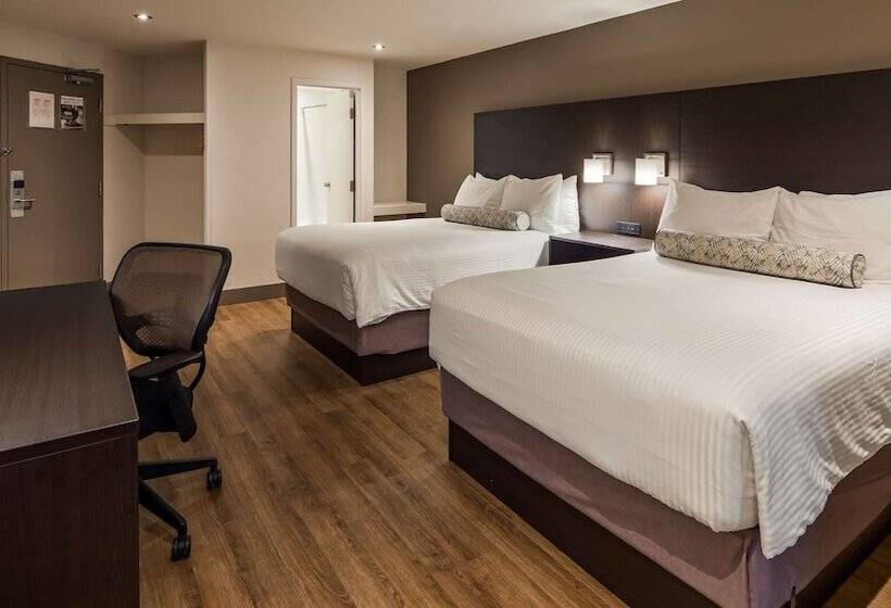 Номер Стандарт 2 Двуспальные Кровати, Best Western Hotel St. Jerome