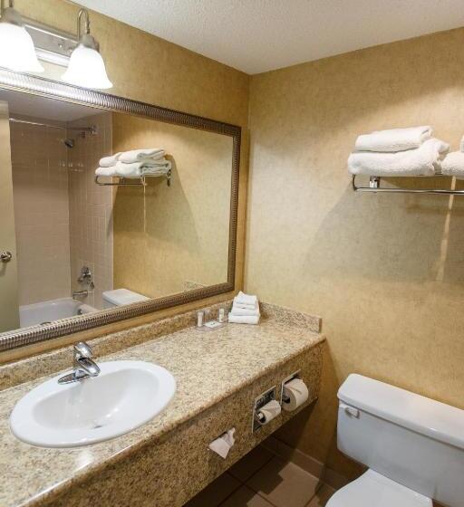 수피리어 룸, The George Dawson Inn & Conference Centre