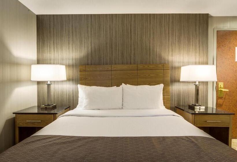 سوئیت با وان آب گرم, Monte Carlo Inn Airport Suites