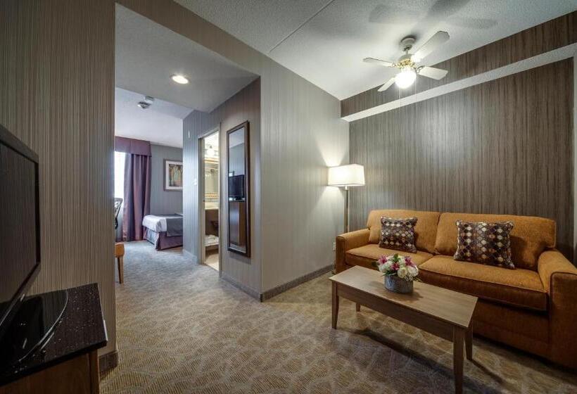 سوییت, Monte Carlo Inn Airport Suites