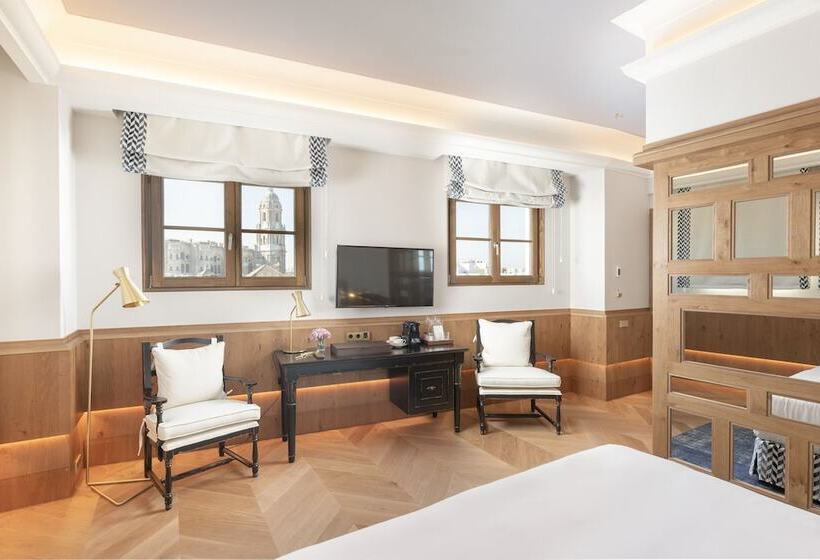 اتاق استاندارد با چشم‌انداز شهر, Palacio Solecio, A Small Luxury Hotel Of The World