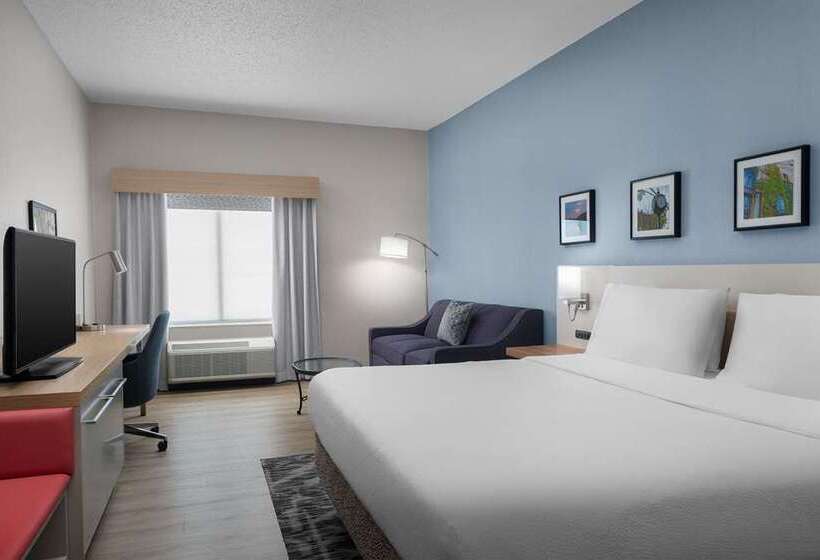 اتاق استاندارد با تخت بزرگ, Hilton Garden Inn Bucharest Airport