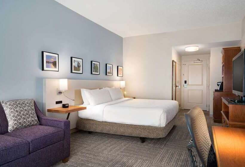 اتاق استاندارد با تخت بزرگ, Hilton Garden Inn Bucharest Airport
