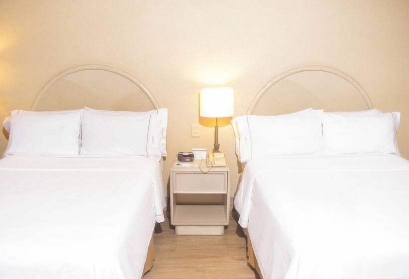 ２ダブルベッドのスタンダードルーム, Holiday Inn Express Monterrey Galerias San Jeronimo, An Ihg