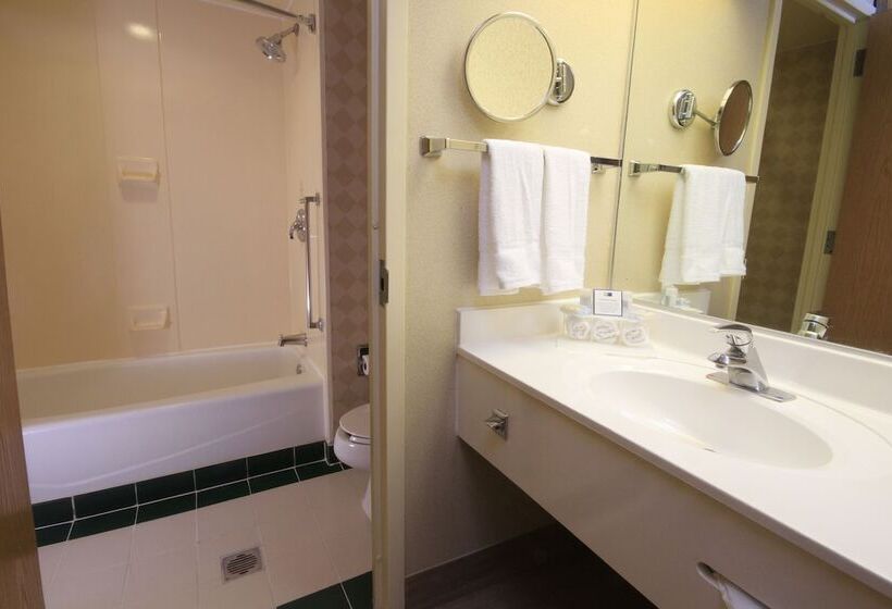 スタンダードルーム, Holiday Inn Express Monterrey Galerias San Jeronimo, An Ihg