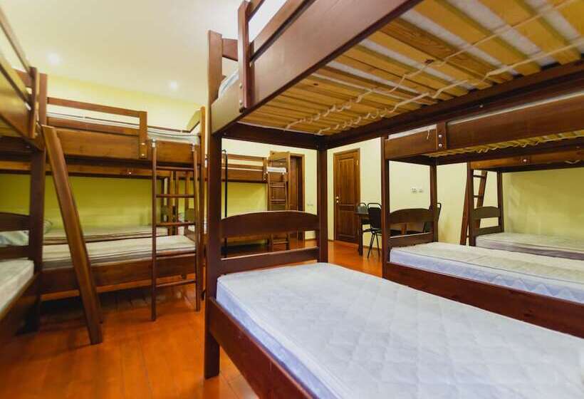 共用房间的床, Hostel U City
