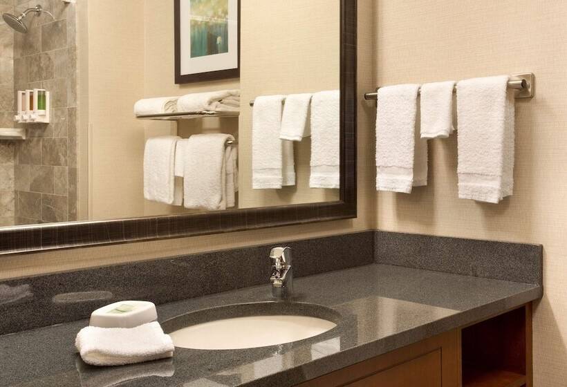 Люкс Адаптированный для Инвалидов, Drury Inn & Suites St. Louis Brentwood