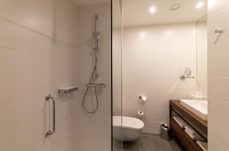 스탠다드 룸 킹사이즈 침대, Hilton Garden Inn Zagreb   Radnicka