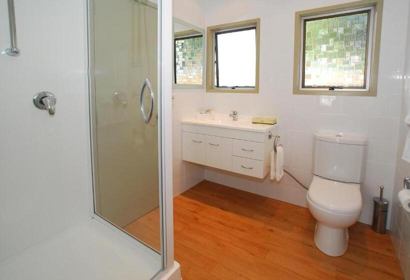 Студия Стандарт, Takapuna Motor Lodge