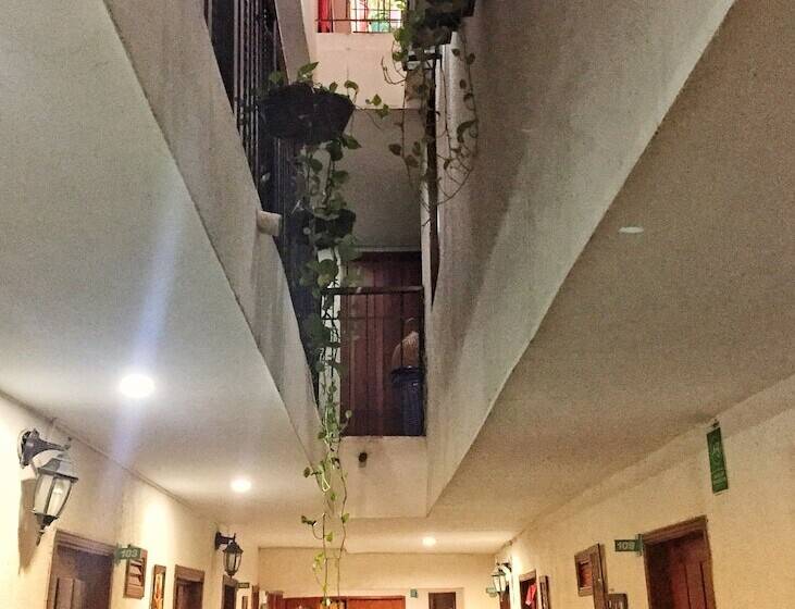 اتاق خانوادگی, Bacano Hostel