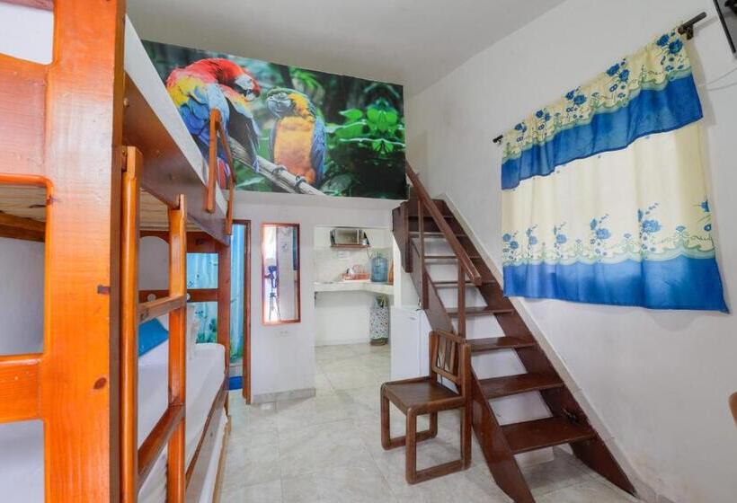 استودیوی استاندارد, Posada Amaripucci