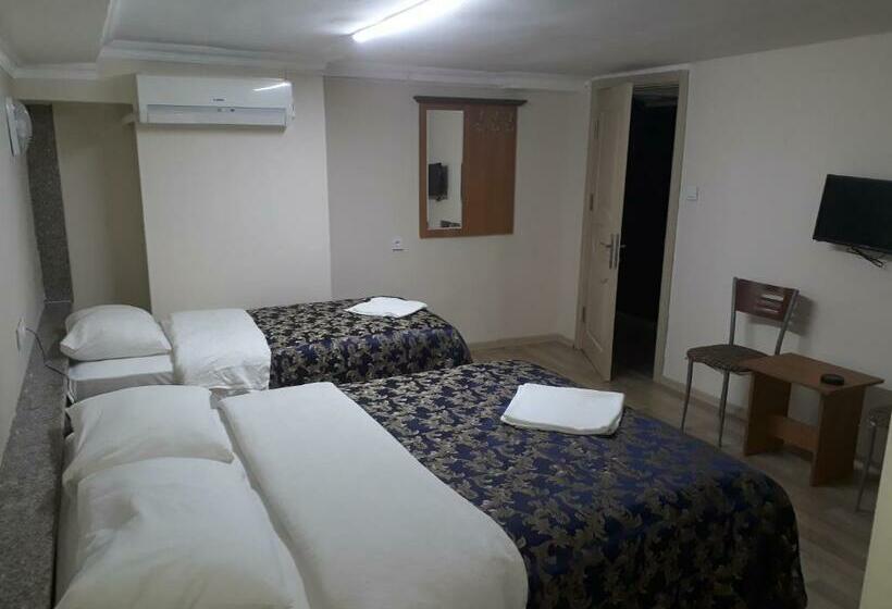 اتاق اکونومی, Hamit Hotel Istanbul
