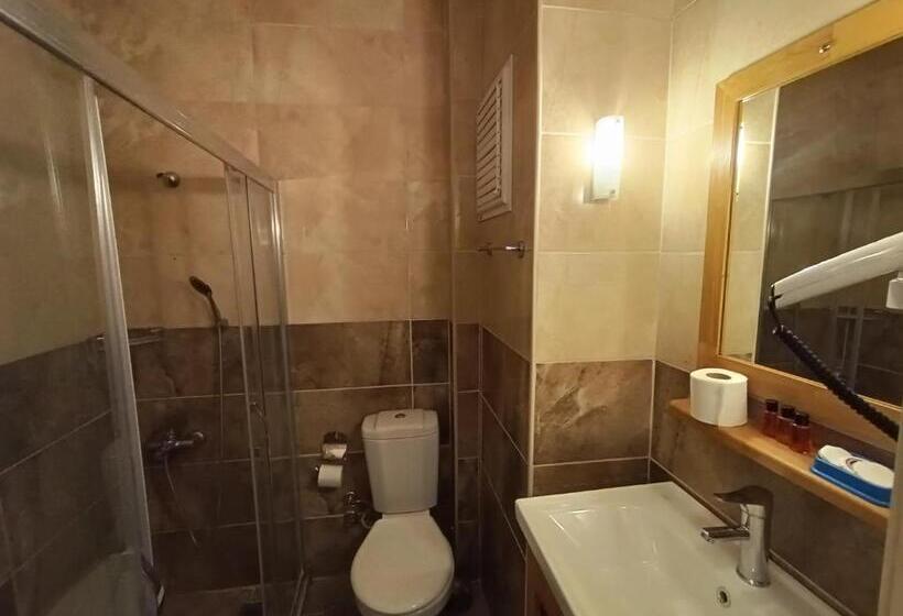 اتاق اکونومی, Hamit Hotel Istanbul