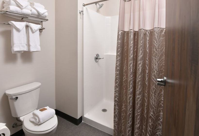 Номер Deluxe, Stoney Creek Hotel Tulsa   Broken Arrow