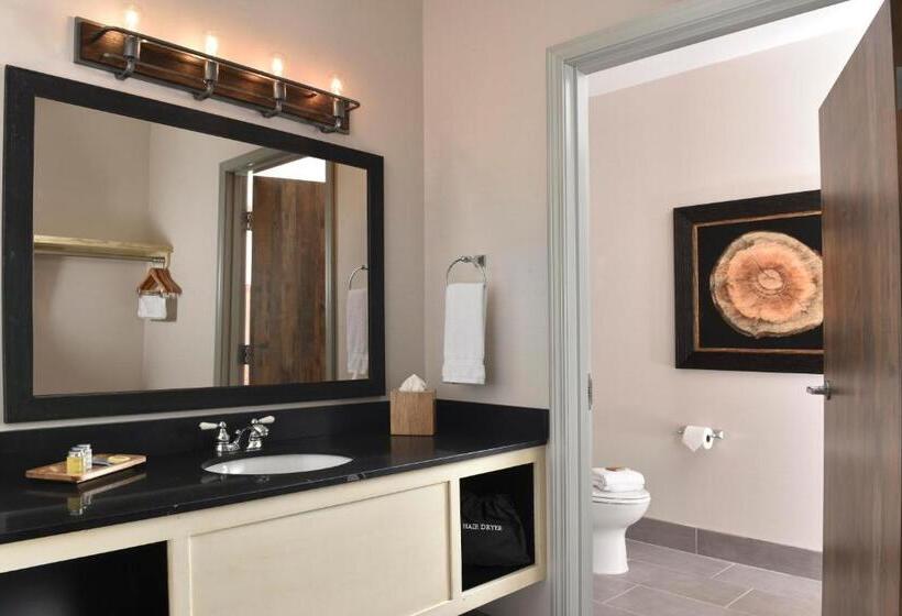 자쿠지 스위트, Stoney Creek Hotel Tulsa   Broken Arrow