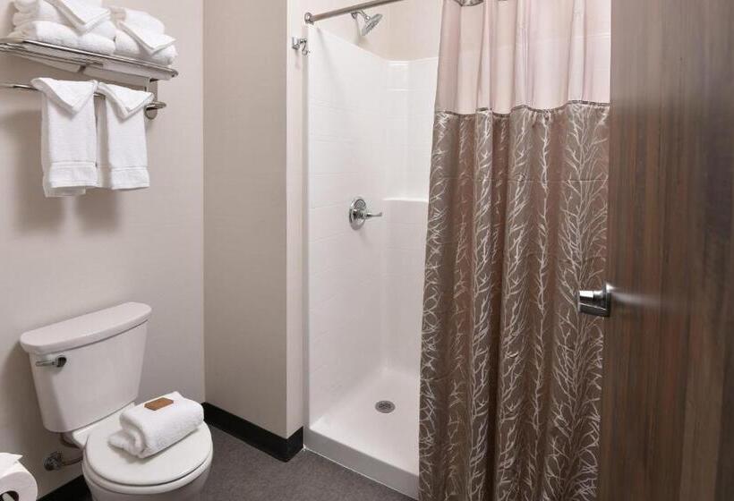 Люкс Superior, Stoney Creek Hotel Tulsa   Broken Arrow