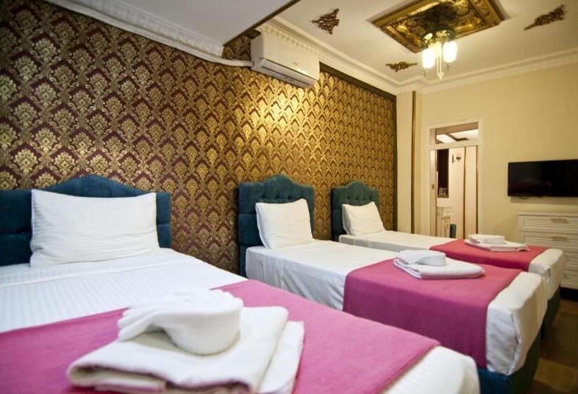 اتاق استاندارد با تخت بزرگ, Paris Garden Hotel Istanbul