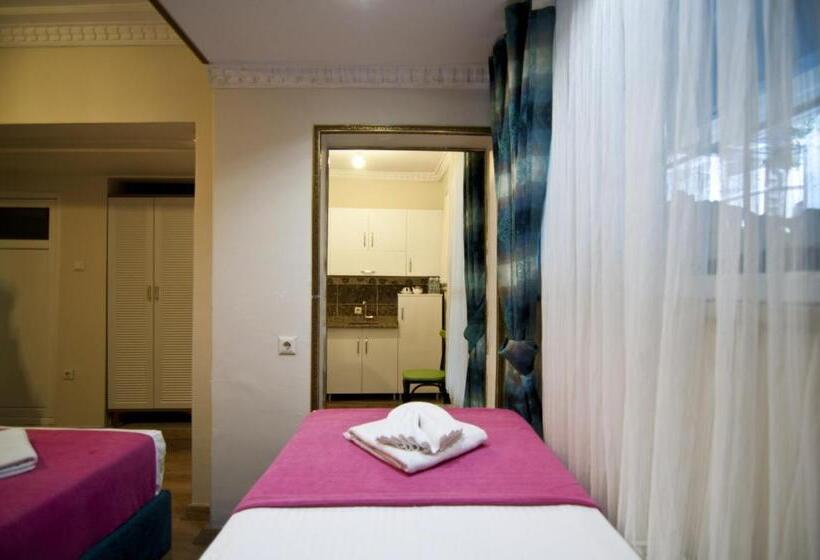 اتاق استاندارد با تخت بزرگ, Paris Garden Hotel Istanbul