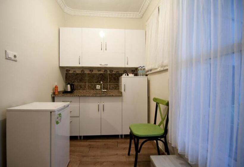 اتاق استاندارد با تخت بزرگ, Paris Garden Hotel Istanbul