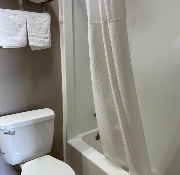 Номер Стандарт 2 Двуспальные Кровати, Royal Motel