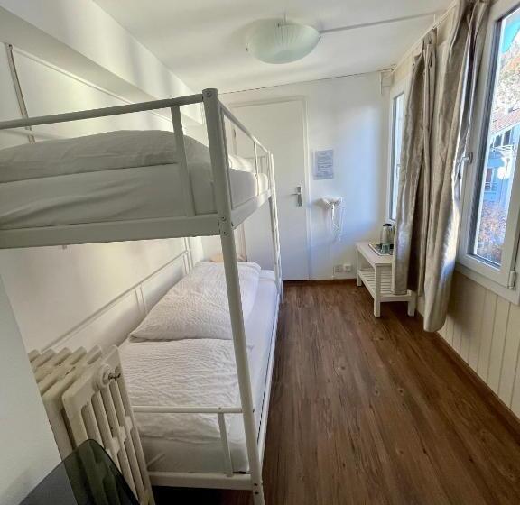 Номер Economy, Interlaken Linda Inn Lodge