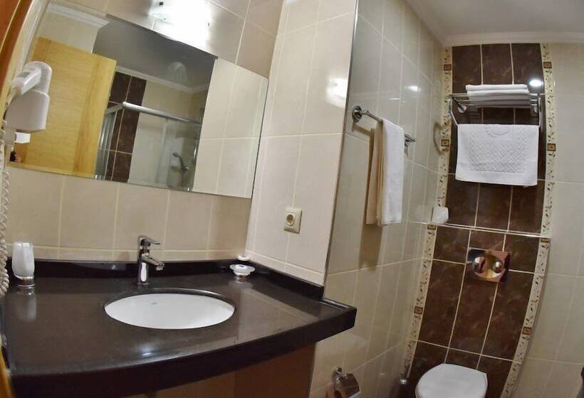 اتاق استاندارد, Adana Park Otel