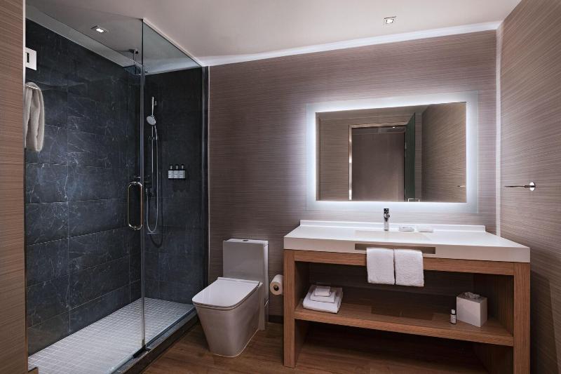 اتاق استاندارد با تخت بزرگ, Ac Hotel By Marriott Houston Downtown
