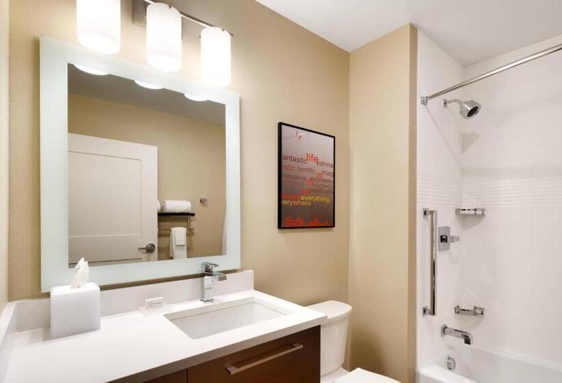 Студия Стандарт Вид на Город, Towneplace Suites By Marriott Salt Lake City Draper