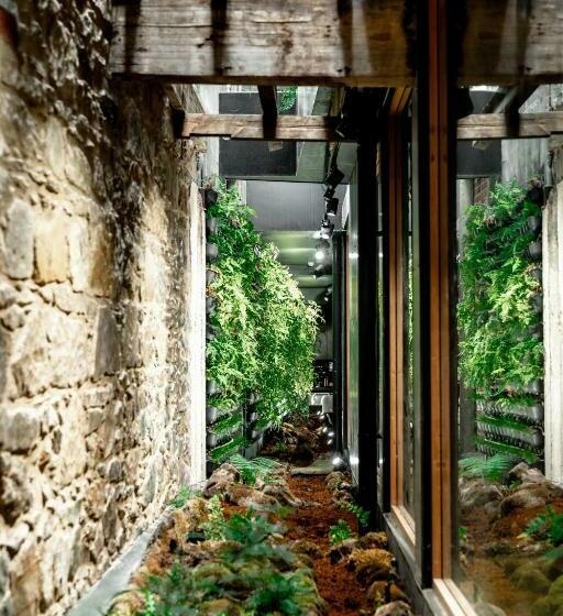 Capsule, Moss