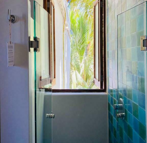 استودیوی استاندارد, Pal.mar Hotel Tropical