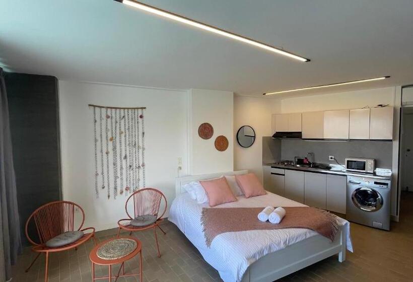 استودیو استاندارد با بالکن, St Paul Resort