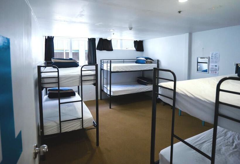 Номер Стандарт, Attic Backpackers