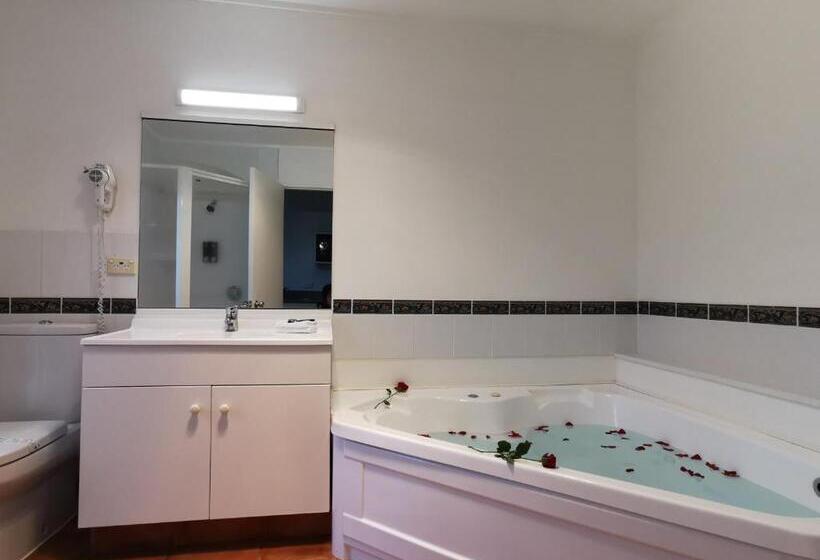 Студия Стандарт, Great Lake Motel Taupo