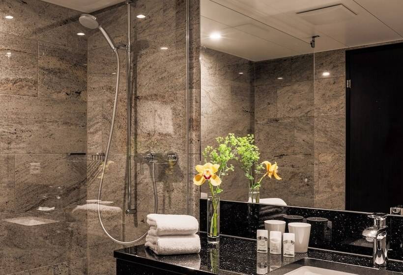اتاق استاندارد با تخت دوبل, Astoria