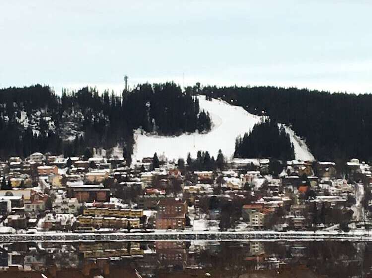 Номер Стандарт, L Ostersund