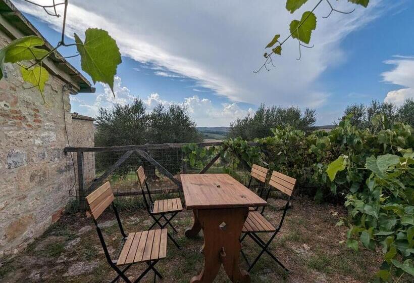 Апартаменты 1 Спальня с Террасой, Podere Spedalone