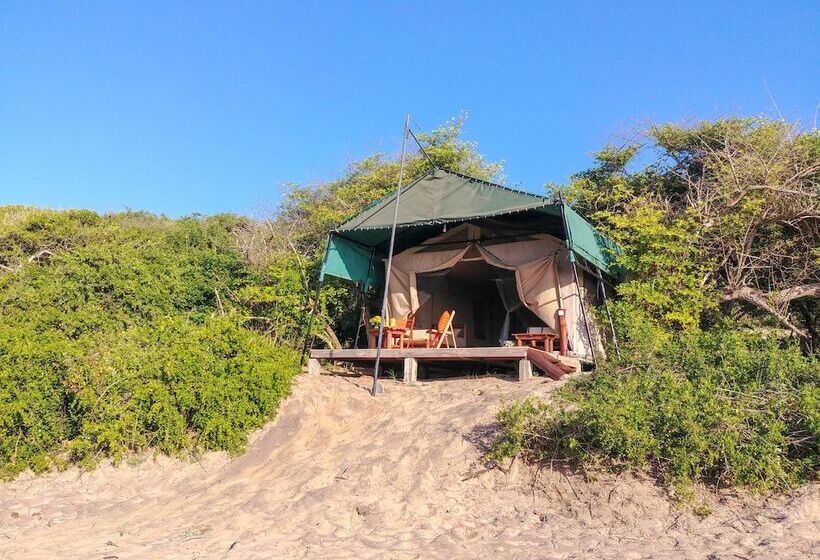 Deluxe Tent, Back Of Beyond Dune Camp Yala
