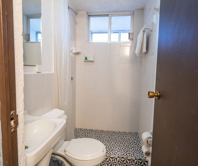 Quarto Triplo Economy, Delf Inn