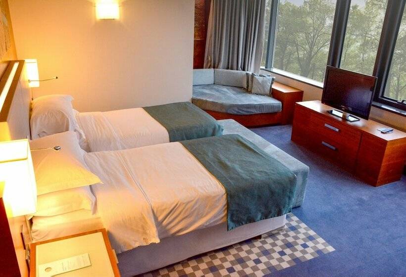 اتاق پرمیوم با چشم‌انداز دریا, Sheraton Istanbul Ataköy